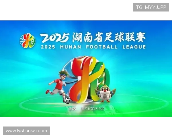 怀化队奋勇拼搏再创辉煌描绘地方足球发展新篇章