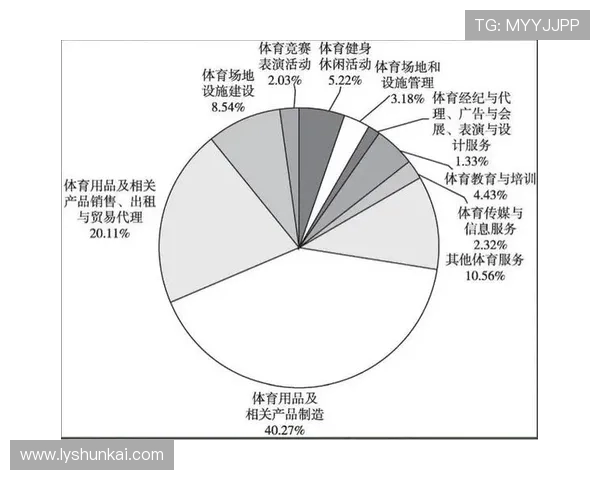 体育产业发展新机遇与挑战：从数字化到全球化的转型趋势