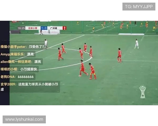 武汉排球队比赛经验深度分析与战术探讨助力球队提升竞技水平